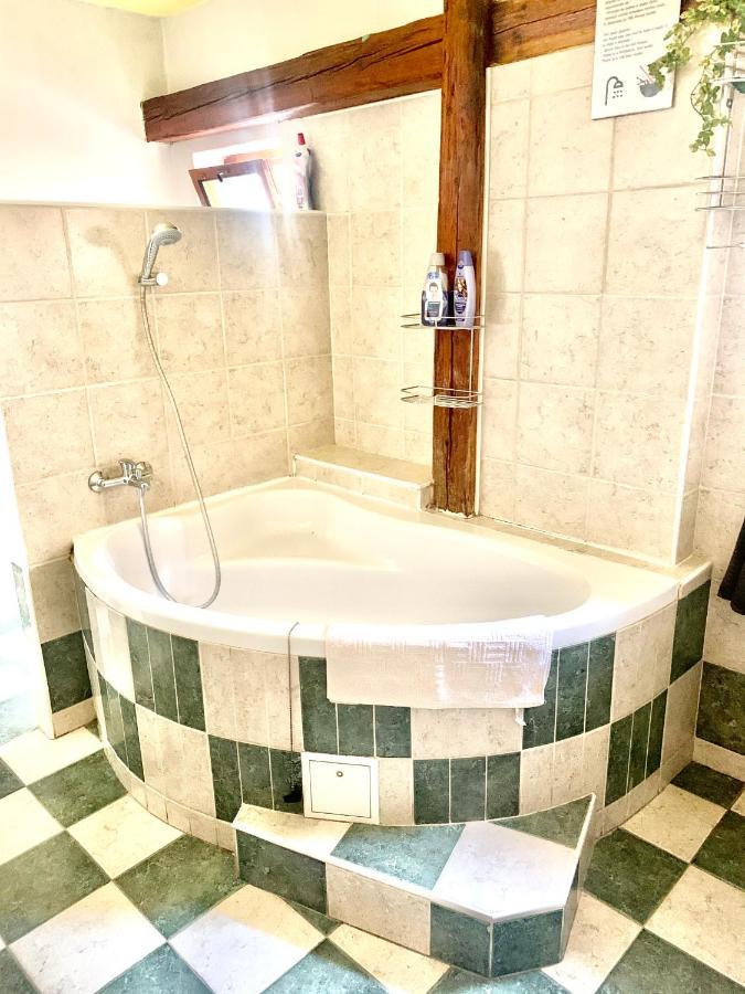 Apartman Galant チェスキー クルムロフ エクステリア 写真