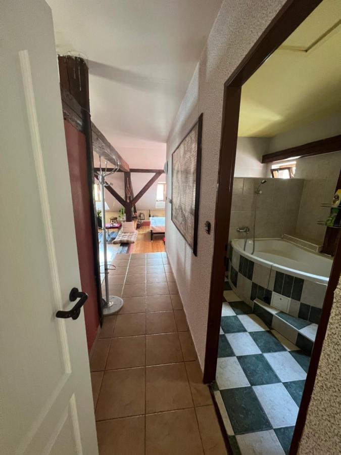 Apartman Galant チェスキー クルムロフ エクステリア 写真